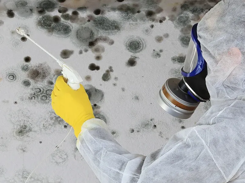 Certified environmental containment and mold assessment dispatch coverage radius map for the Omaha metro region