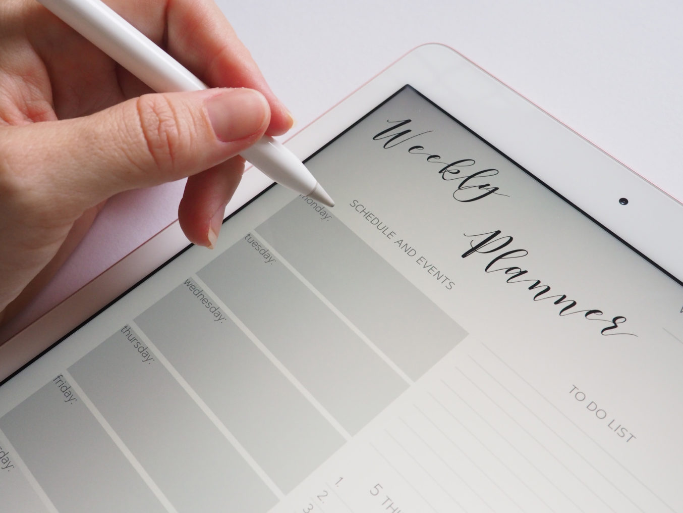 person-holding-white-stylus-768472